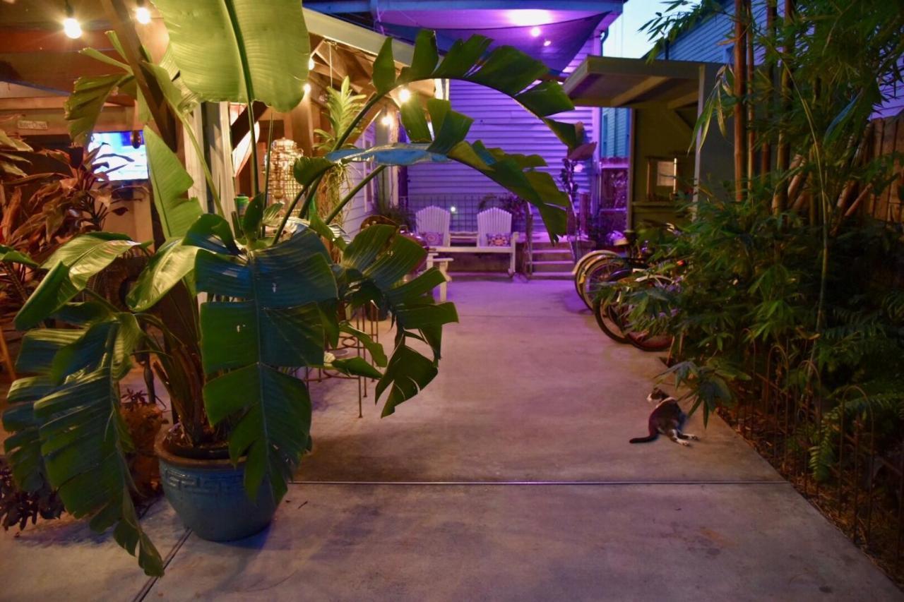 The Dragonfly Treme Guest House Νέα Ορλεάνη Εξωτερικό φωτογραφία