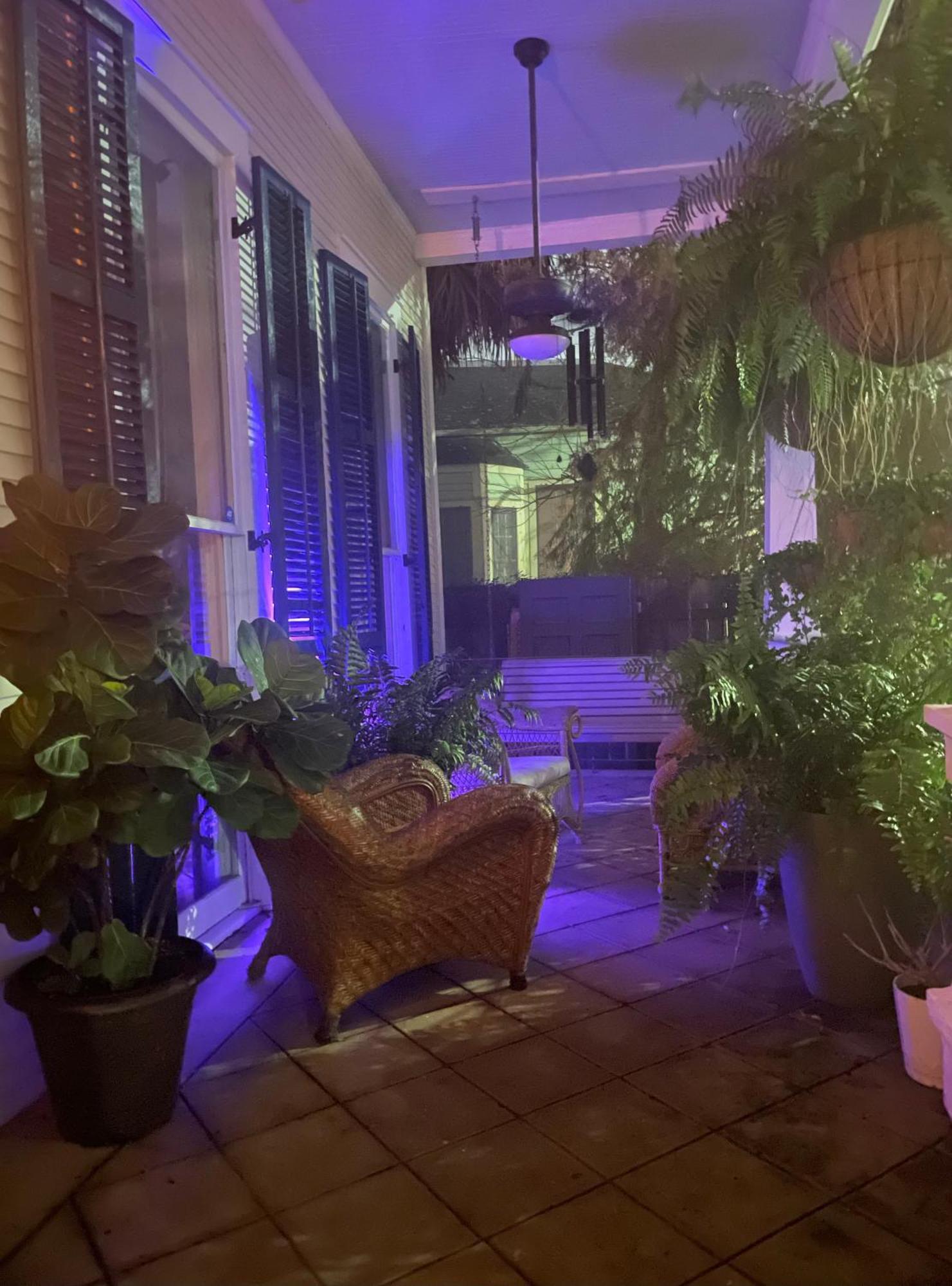The Dragonfly Treme Guest House Νέα Ορλεάνη Εξωτερικό φωτογραφία
