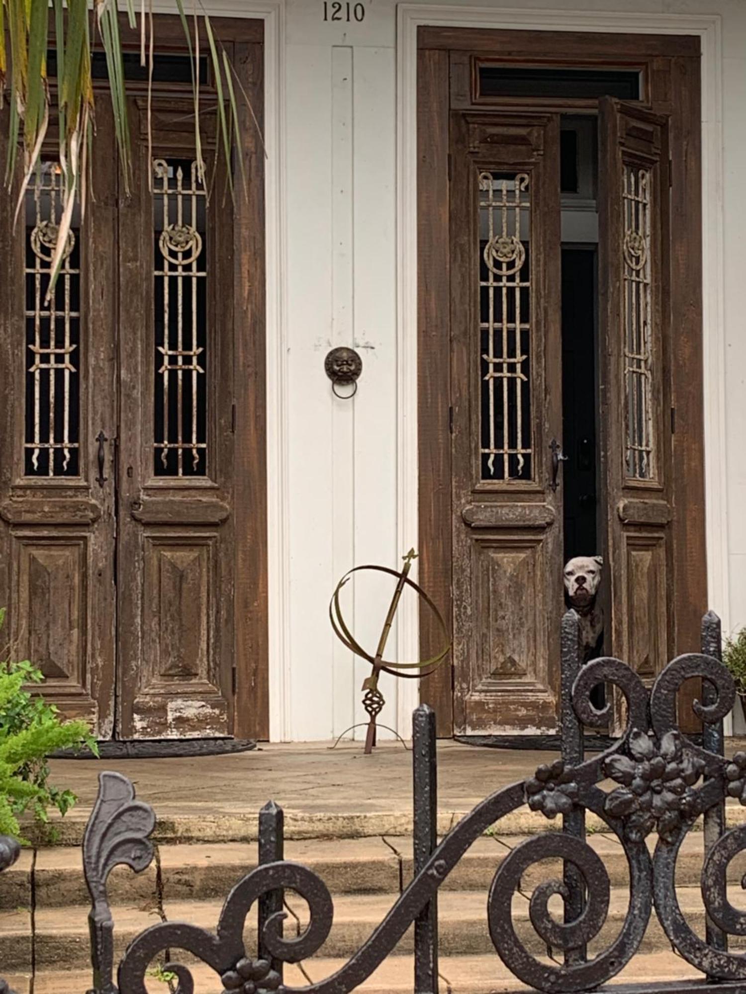 The Dragonfly Treme Guest House Νέα Ορλεάνη Εξωτερικό φωτογραφία