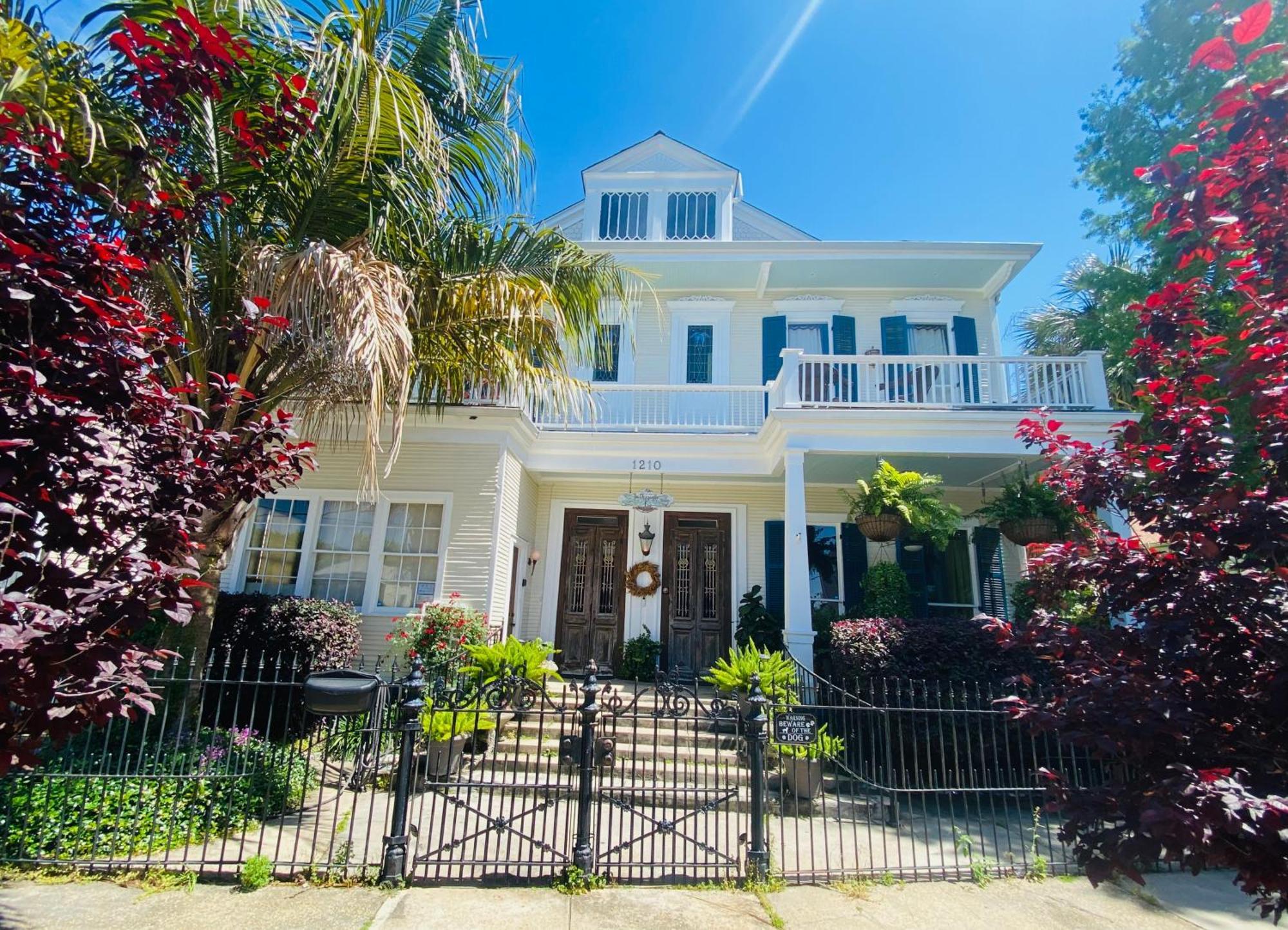 The Dragonfly Treme Guest House Νέα Ορλεάνη Εξωτερικό φωτογραφία